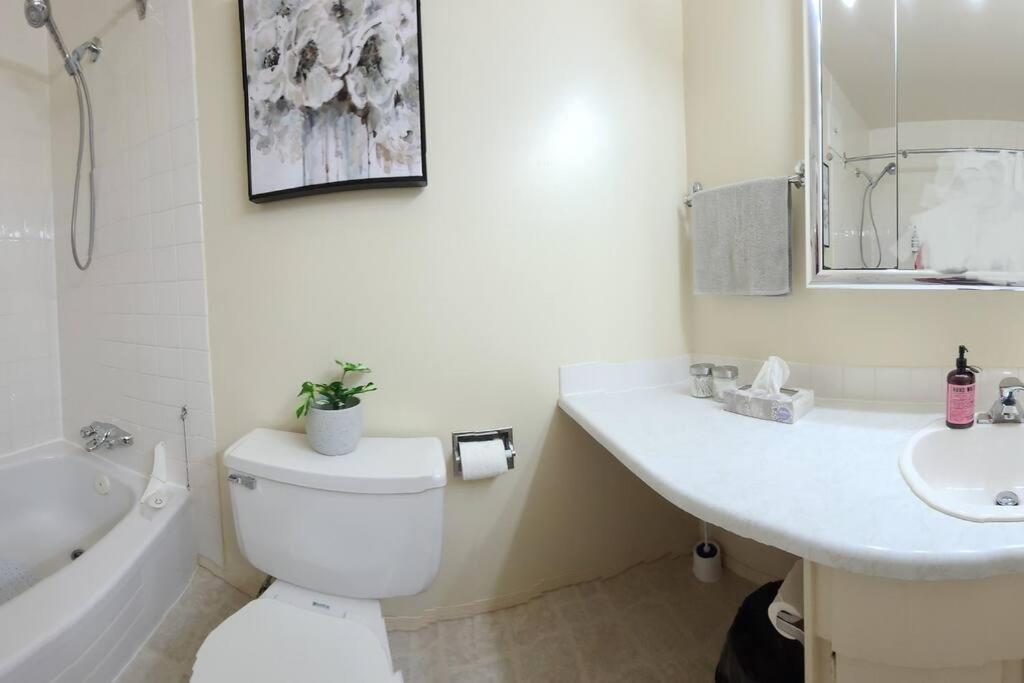 Right Next To West Edmonton Mall With Free Parking 외부 사진